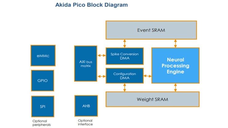 BrainChip has announced a new entry in its Akida family of neuromorphic processors, the tiny Akida Pico. (📷: BrainChip)