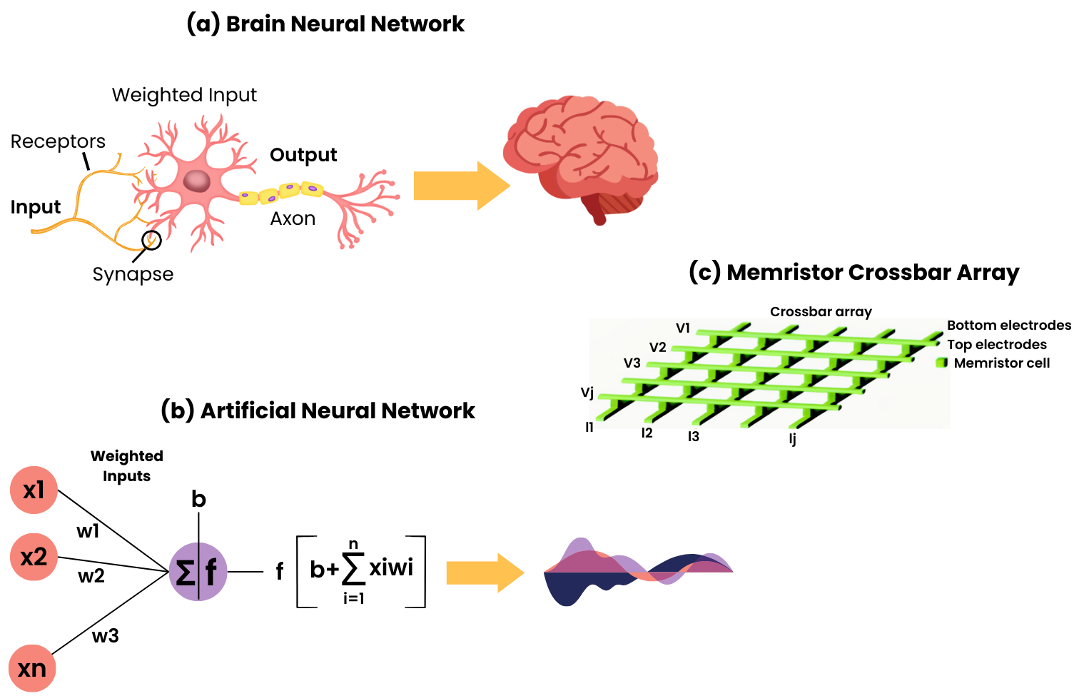 (a) Brain Neural Network (BNN) forms a complex computing network with billions of neurons. (b) Artificial Neural Network (ANN) uses Perceptron as a fundamental unit to mimic the computational model of the human brain.  (c) Many neuromorphic chips use