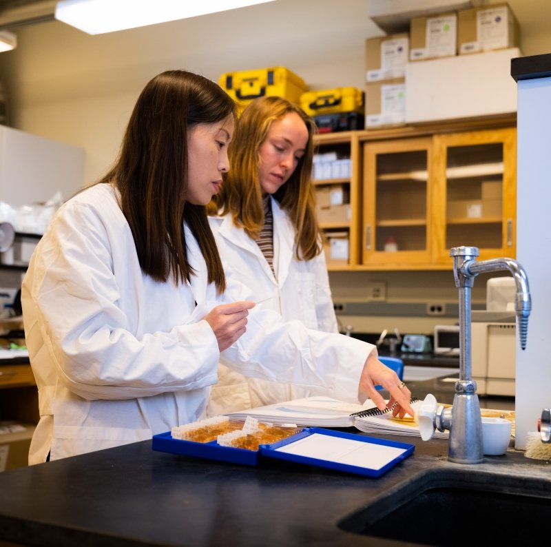Two women researching in the lab at Michigan Tech to develop improved deep brain stimulation systems to aid people with Parkinson's disease.'s disease.