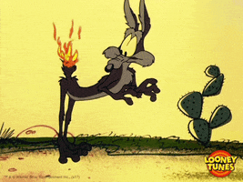 uh oh wtf GIF by Looney Tunes
