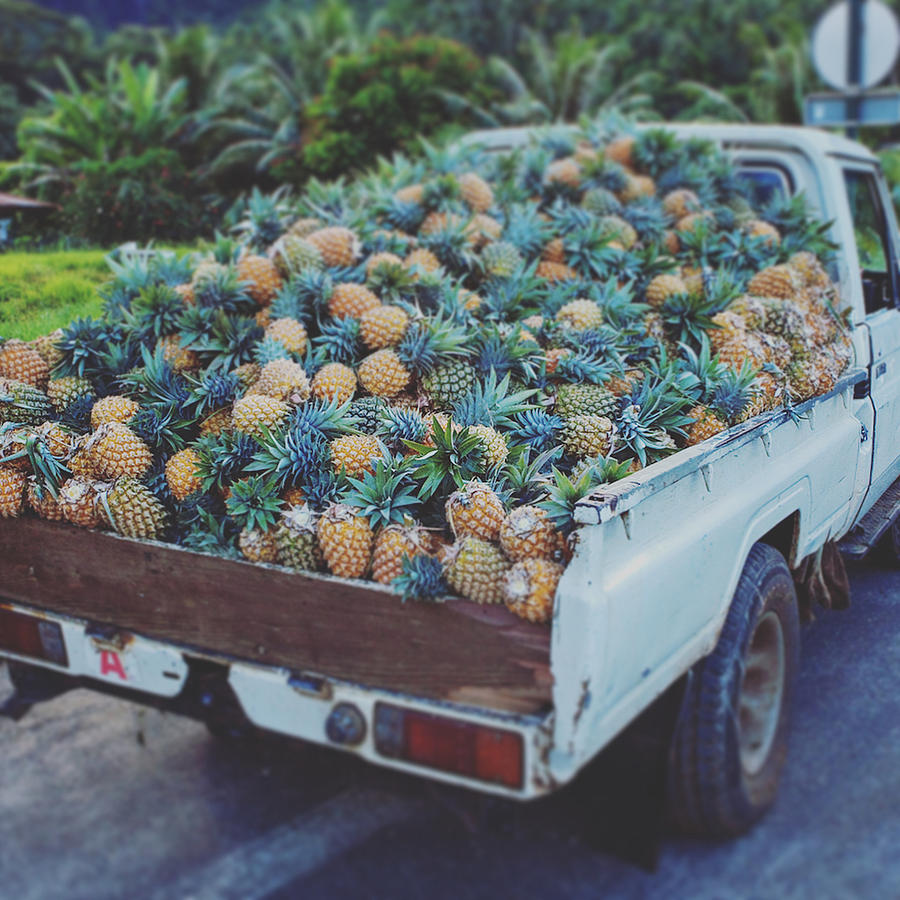 tahitian-pineapple-truck-angelina-hills.jpg