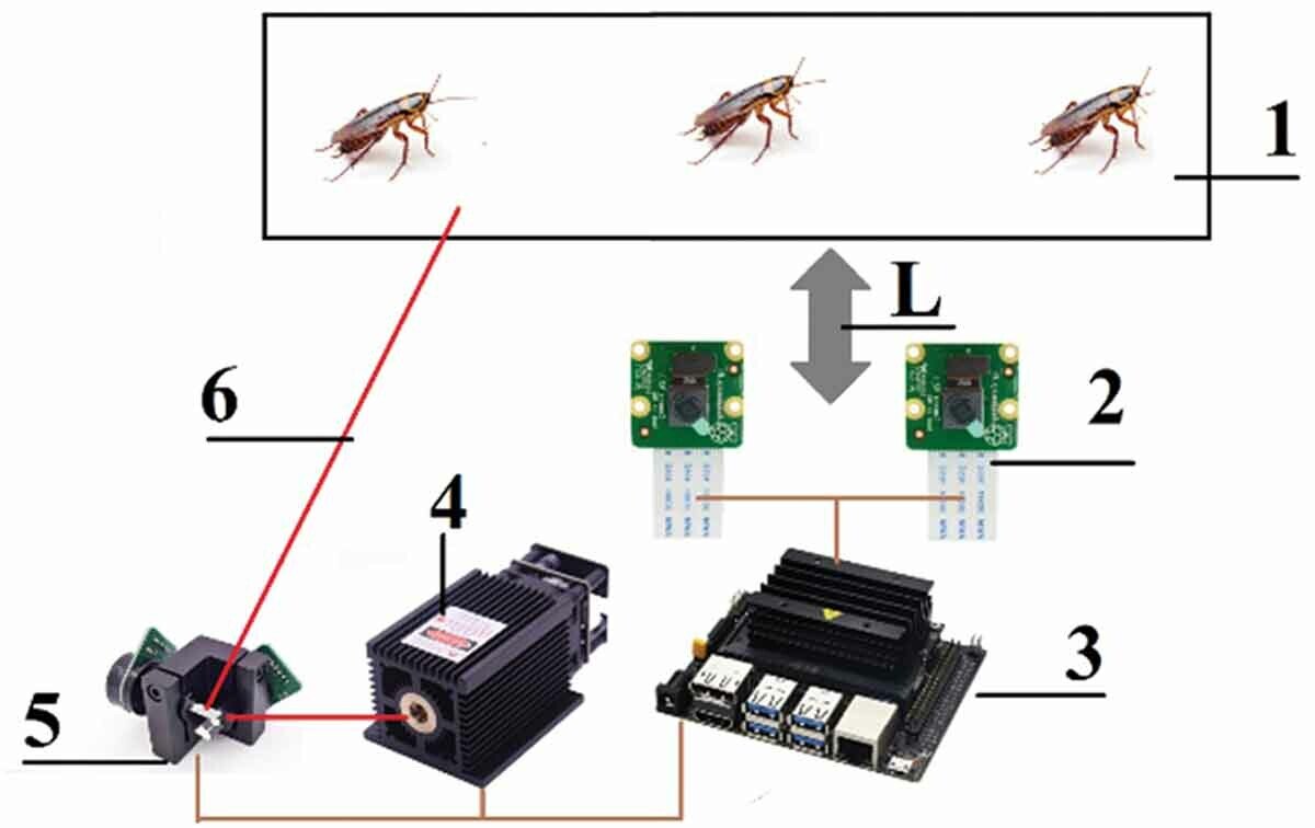 techxplore.com