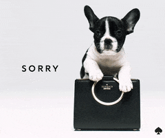 let's go help GIF by kate spade new york's go help GIF by kate spade new york