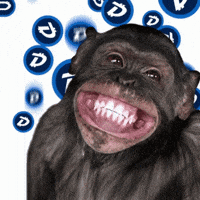 Crypto Smile GIF by DigiByte Memes