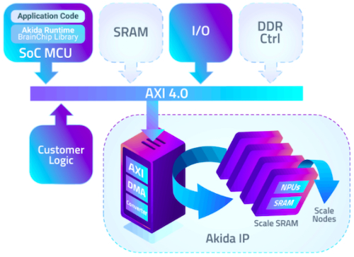 Diagram of some of Akida's IP's IP