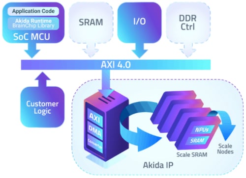 Diagram of some of Akida's IP