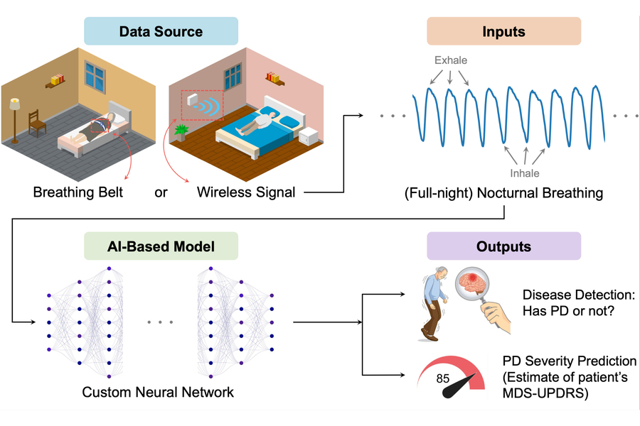 Four illustrations: First, labeled Data Source, shows two people, one wearing a belt while asleep, the other with a box on the wall in their room while asleep. The second, labeled Inputs, shows a wave pattern where crests represent exhale and valleys represent inhale. Third, labeled A.I.-based model, is a series of interconnected nodes, representing the neural network. Fourth, labeled Outputs, shows an old man next to a brain with a red spot under a magnifying glass, and a meter at 85 percent, r