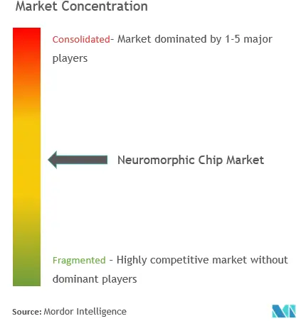 Neuromorphic Chip Market Concentration