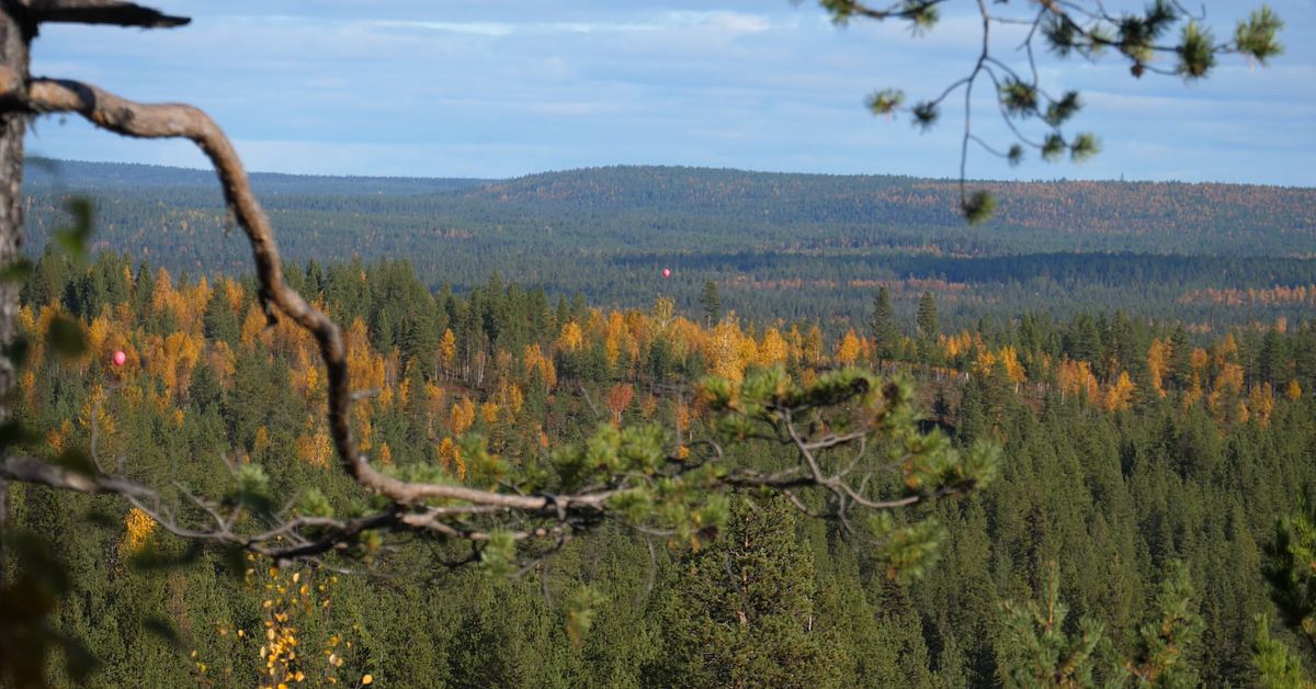 www.svt.se