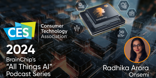 brainchip.com