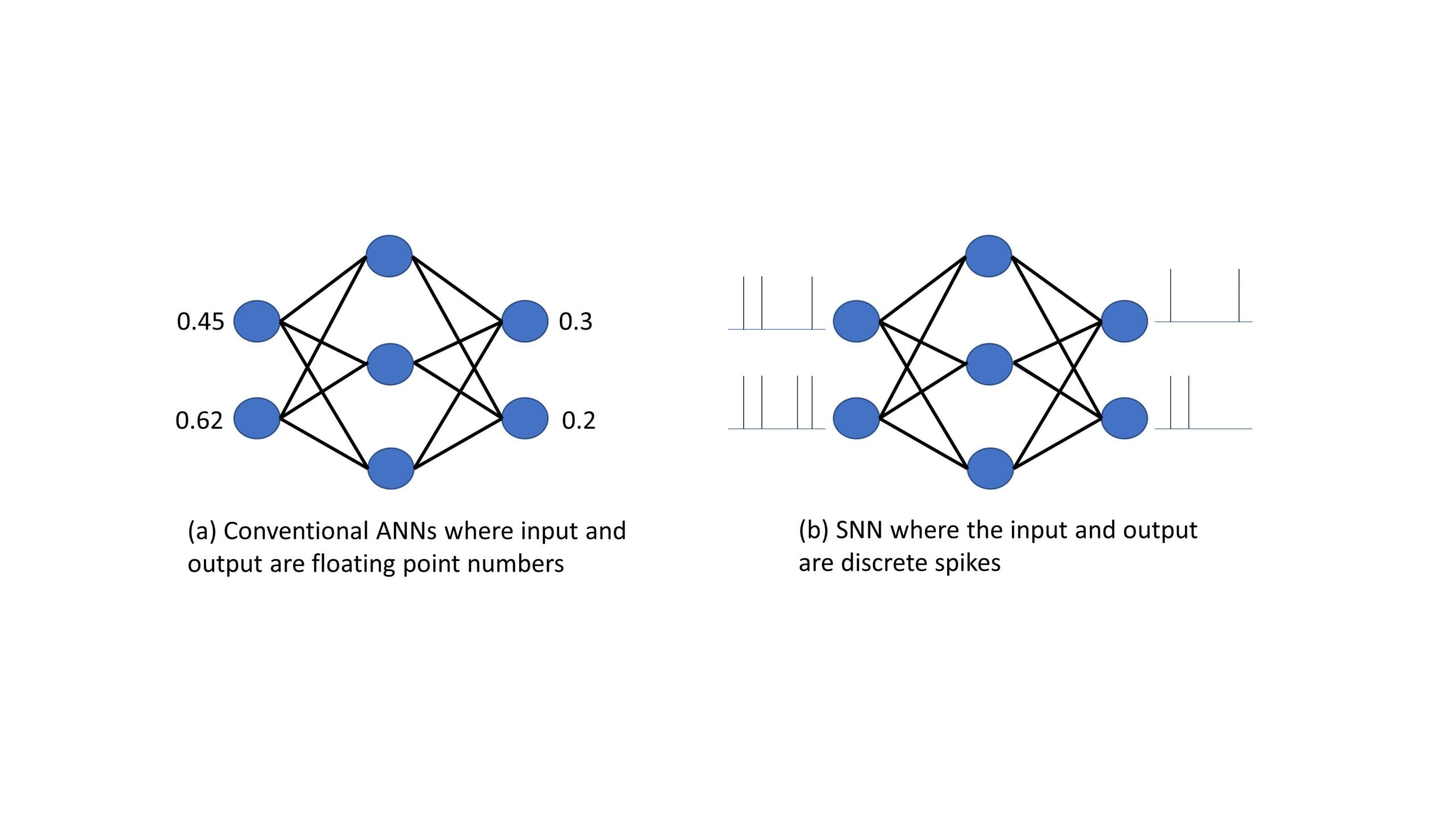 conventional ann snn