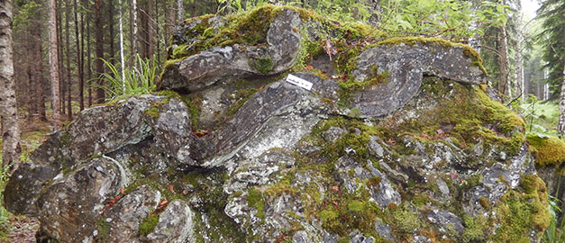 www.sgu.se