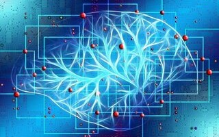 BrainChip and SiFive Partner to Deploy AI/ML Technology at the Edge BrainChip and SiFive Partner to Deploy AI/ML Technology at the Edge