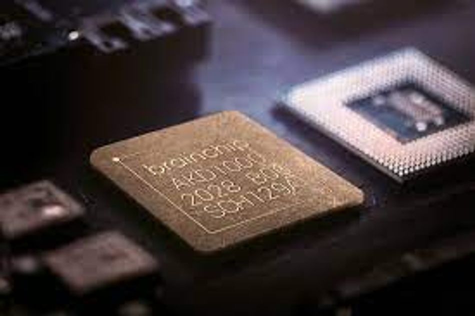 eyJidWNrZXQiOiJ3ZXZvbHZlci1wcm9qZWN0LWltYWdlcyIsImtleSI6ImZyb2FsYS8xNjk3MjA4NDI5MTg2LWFraWRhLmpwZyIsImVkaXRzIjp7InJlc2l6ZSI6eyJ3aWR0aCI6OTUwLCJmaXQiOiJjb3ZlciJ9fX0=