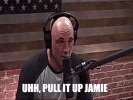 Joe Rogan GIF Joe Rogan GIF