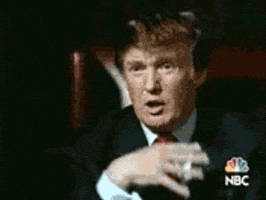 donald trump GIF donald trump GIF