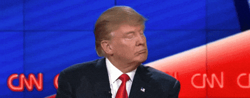 Donald Trump Whatever GIF by Mashable Donald Trump Whatever GIF by Mashable