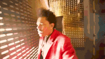 Confused Canadian GIF Confused Canadian GIF