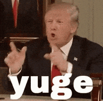 Donald Trump GIF Donald Trump GIF