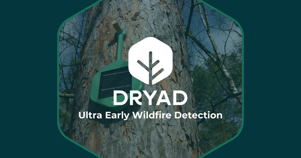 www.dryad.net
