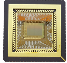 Oculi S41 SPU.png Oculi S41 SPU.png