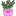 www.howtheygrow.co